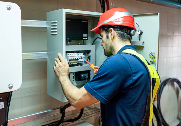 Electrical Panel Upgrade Colbert
