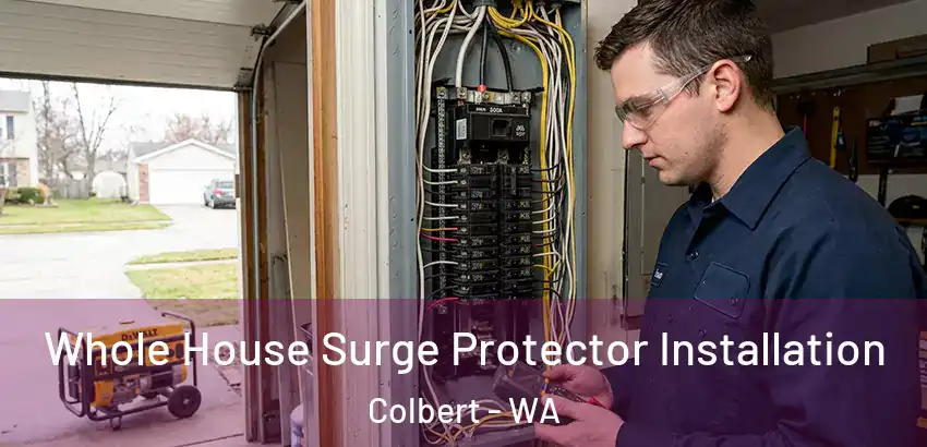  Whole House Surge Protector Installation Colbert - WA